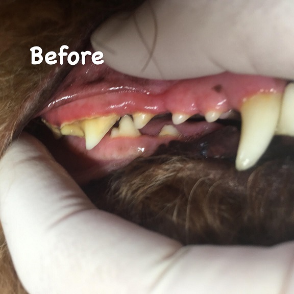 Before Before