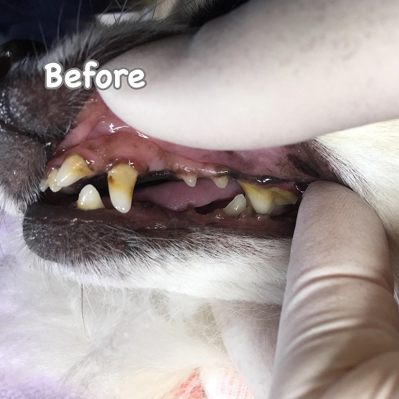 Before Before