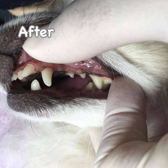 After After
