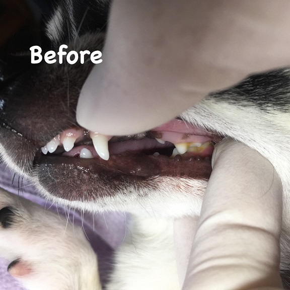 Before Before