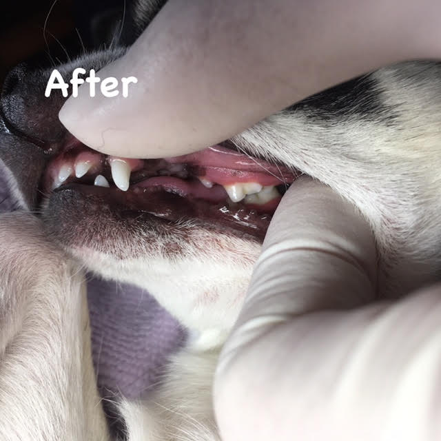 After After