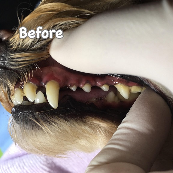 Before Before