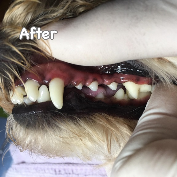 After After