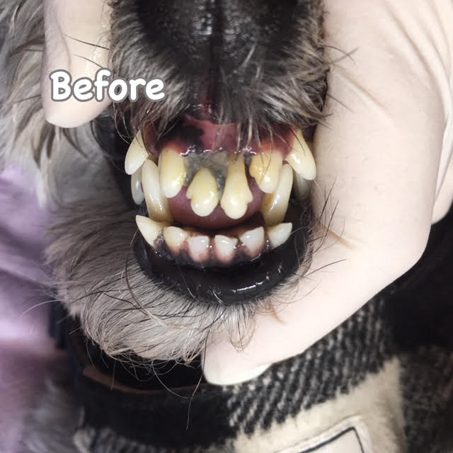Before Before