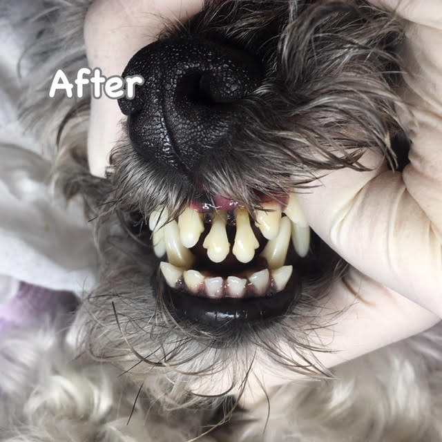 After After