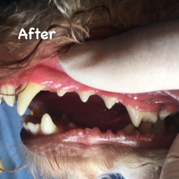 After After
