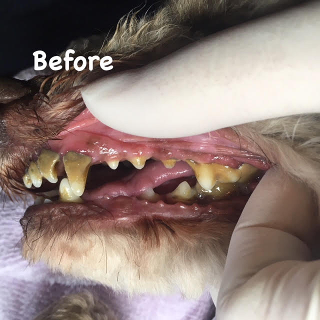Before Before