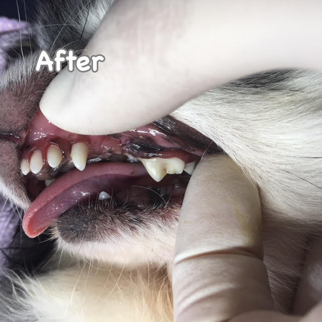 After After