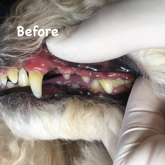 Before Before