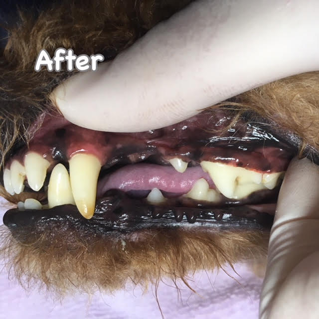 After After
