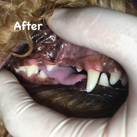 After After