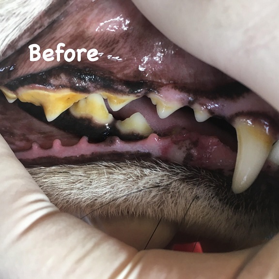 Before Before