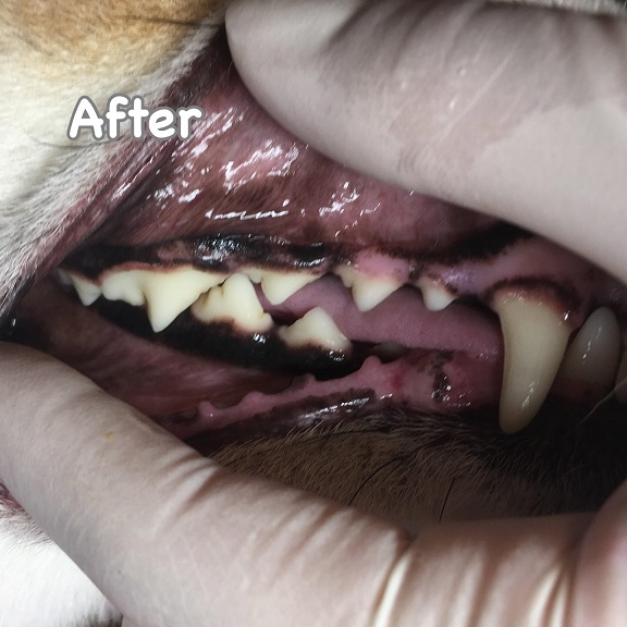 After After