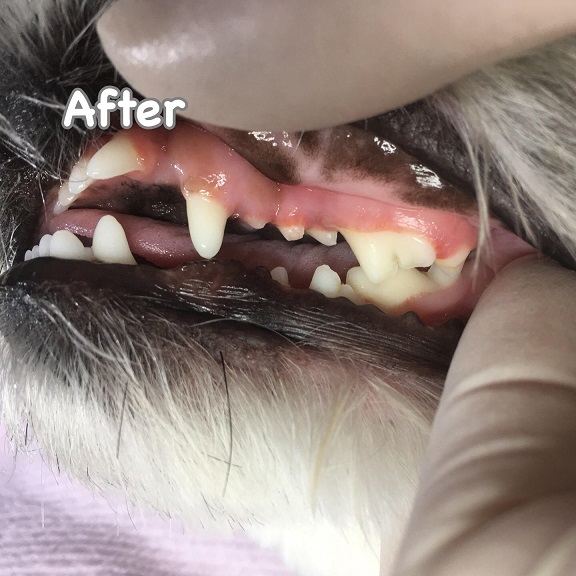 After After