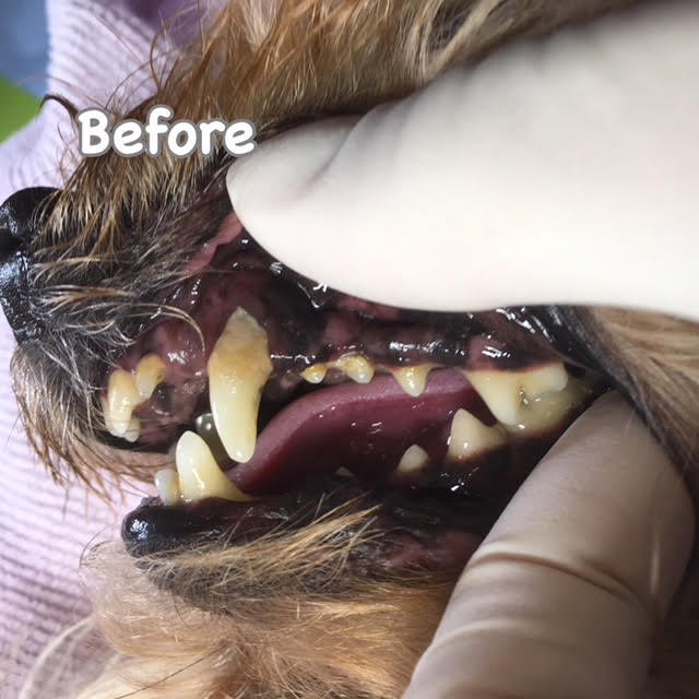 Before Before
