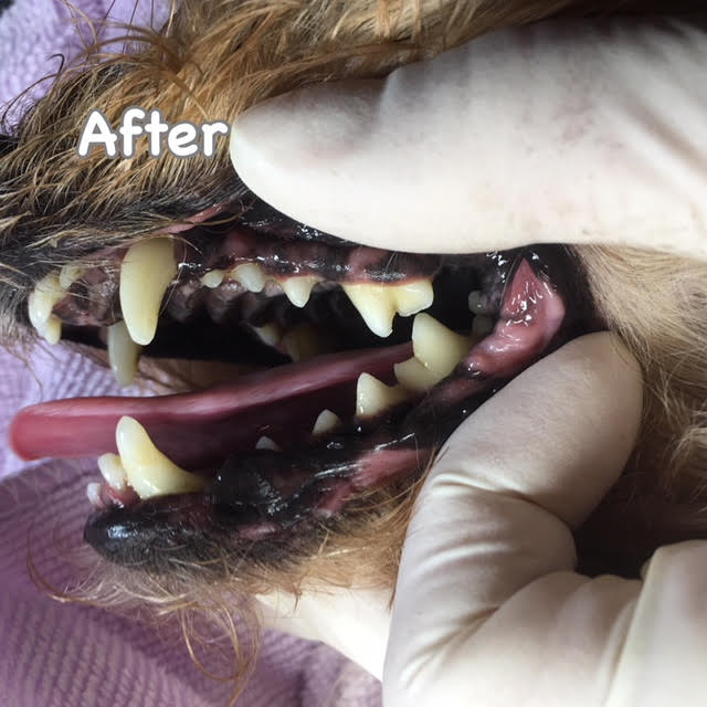 After After