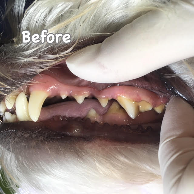 Before Before