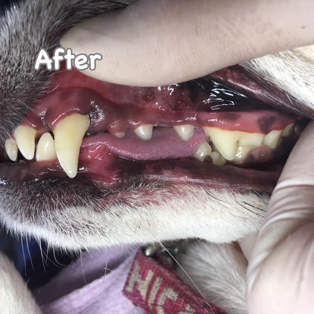 After After