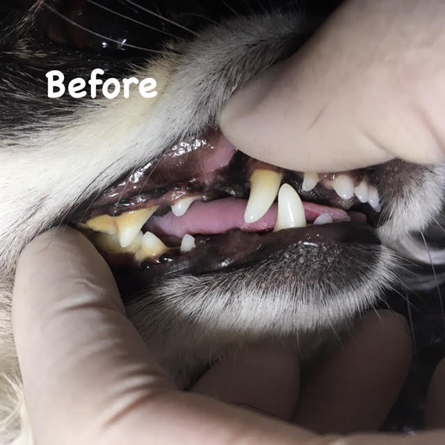 Before Before