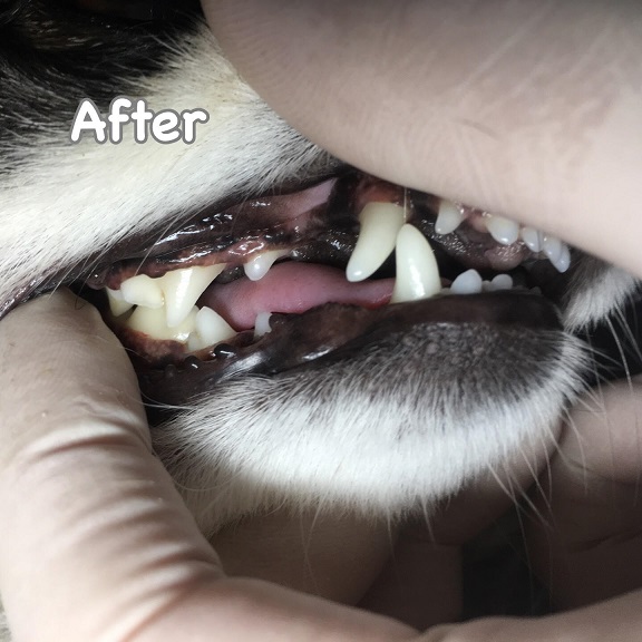 After After