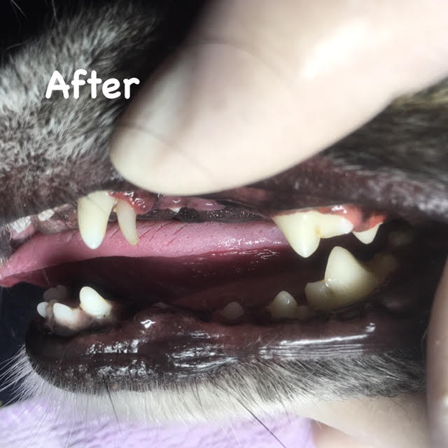 After After