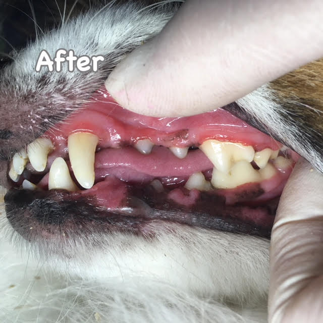 After After