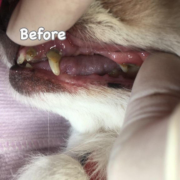 Before Before