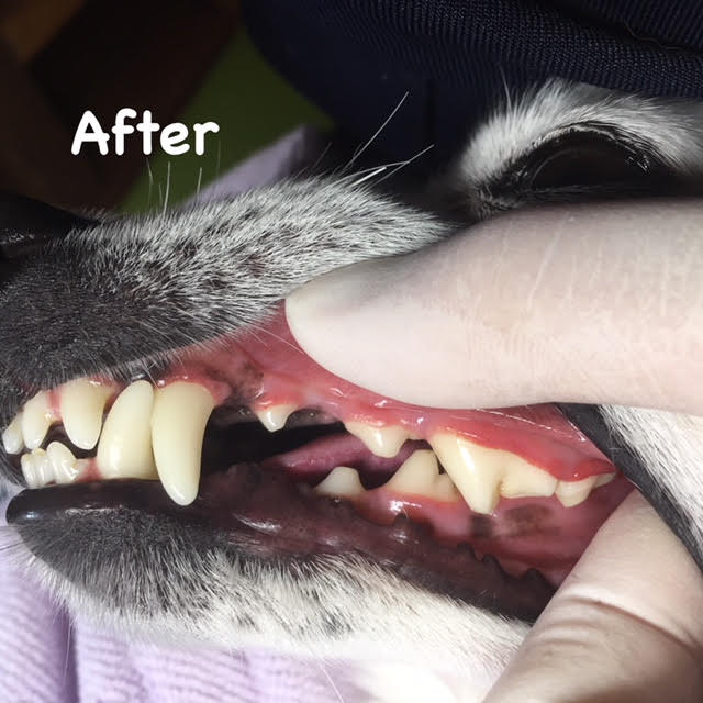 After After