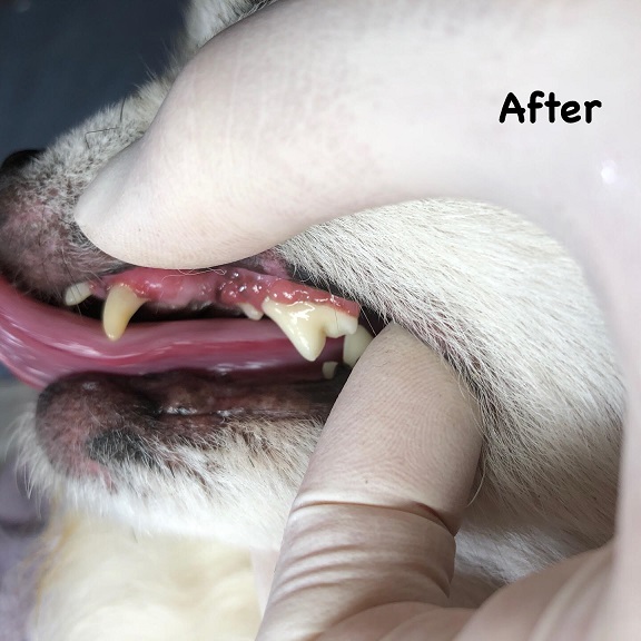 After After