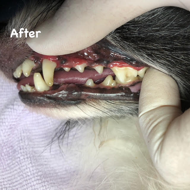 After After