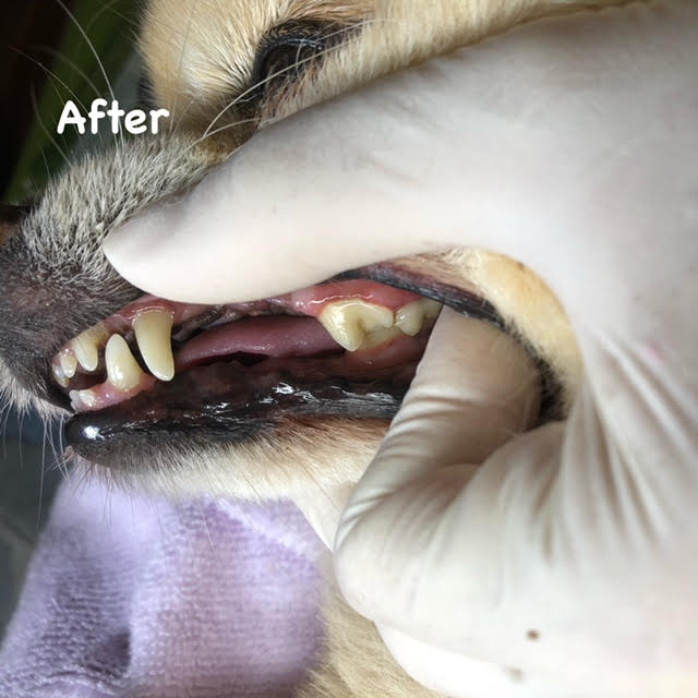 After After