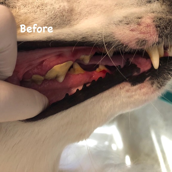 Before Before