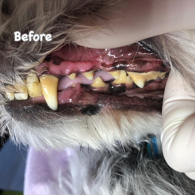 Before Before