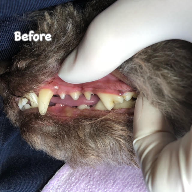 Before Before