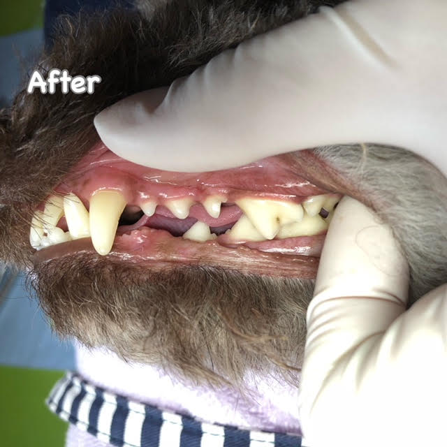 After After