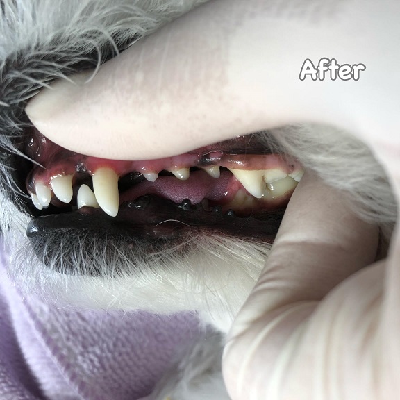 After After