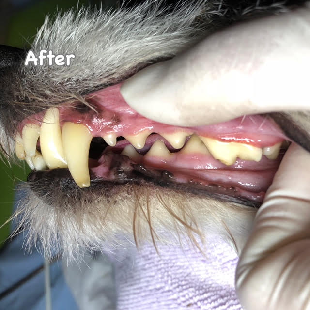 After After