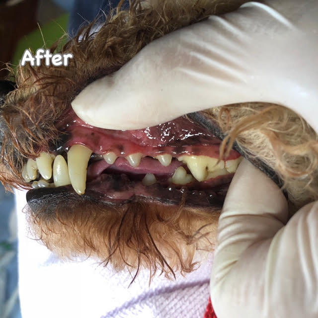 After After