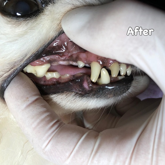After After