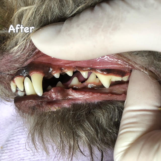 After After