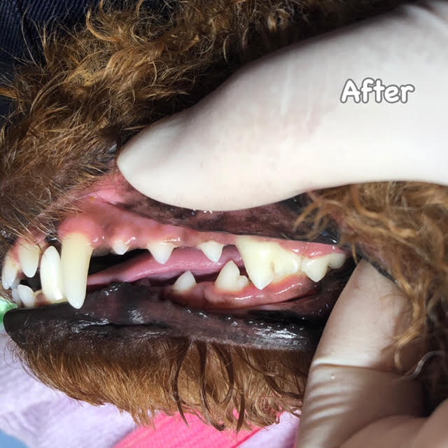 After After
