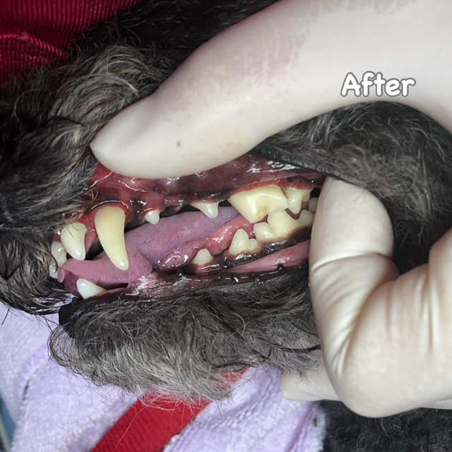 After After