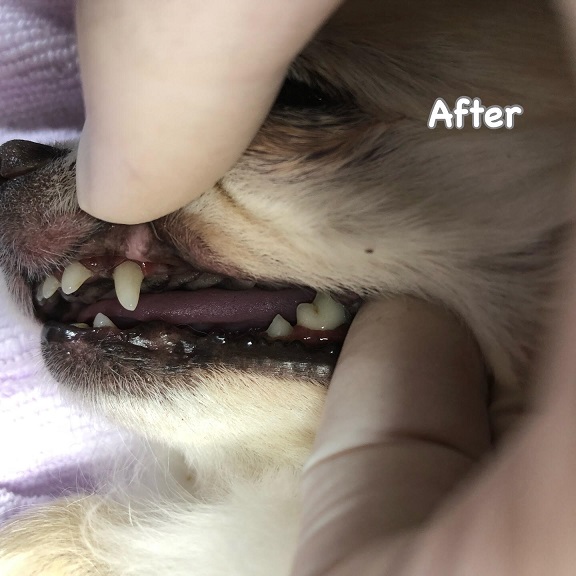 After After