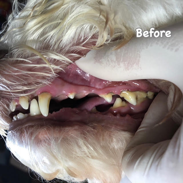 Before Before