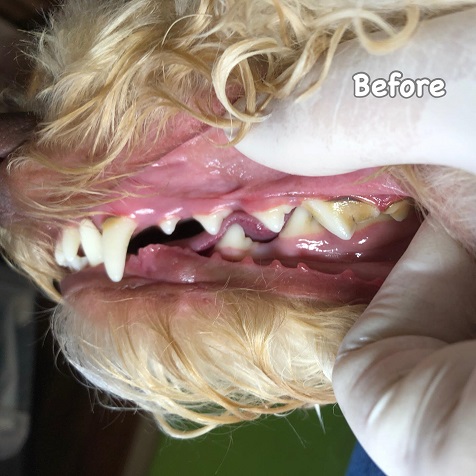 Before Before