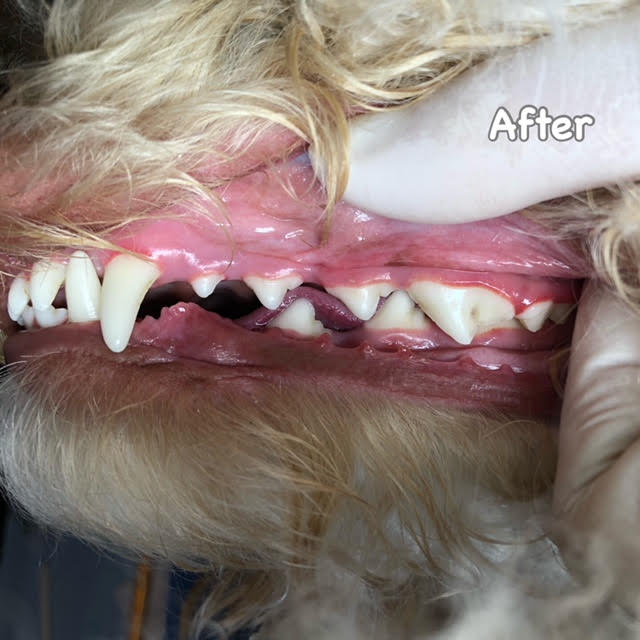 After After