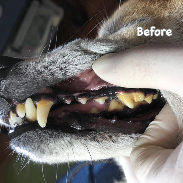 Before Before
