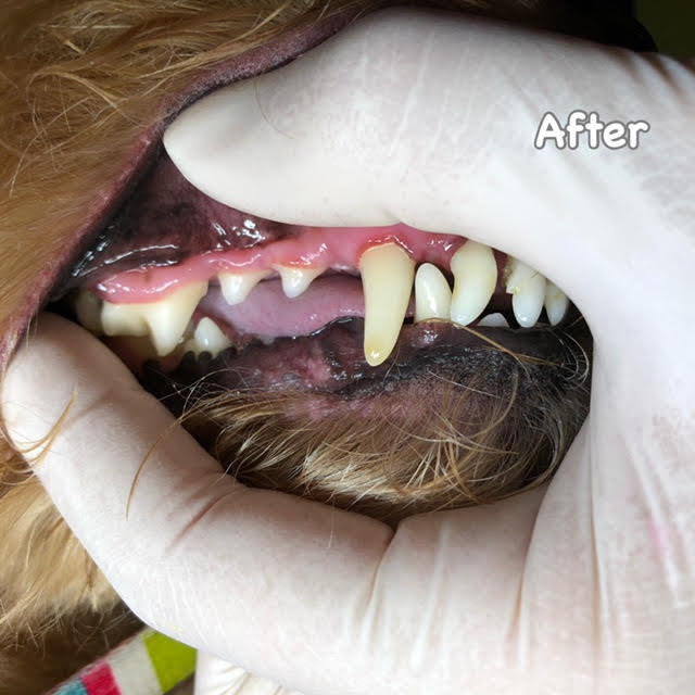 After After