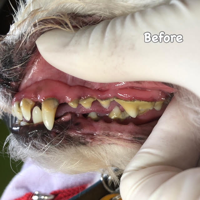 Before Before