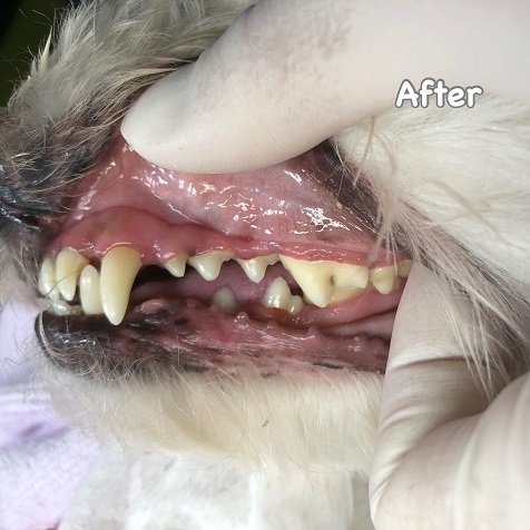 After After